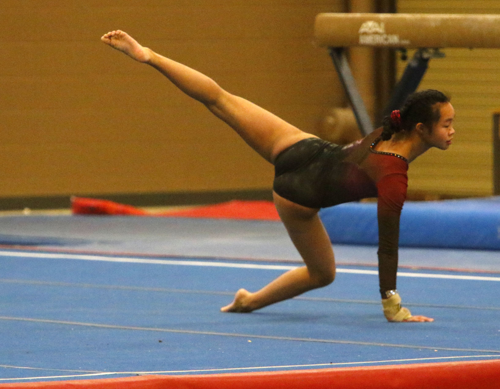 LaPorte Pairs Gymnastics Invitational